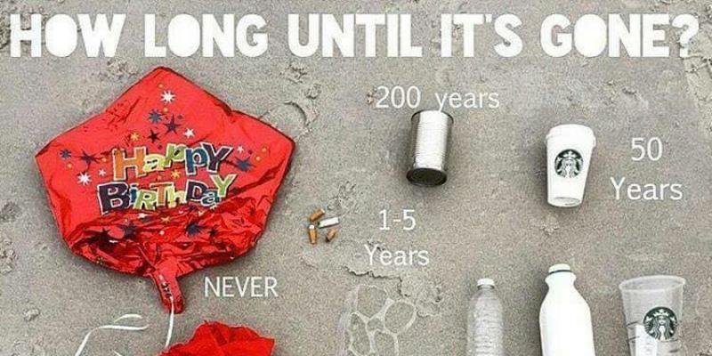 JUST JUNK 
